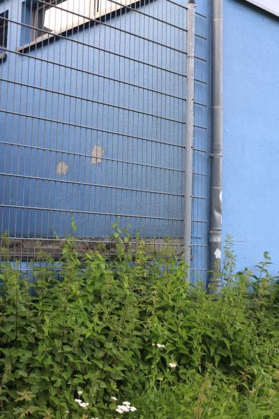 Neue Sporthalle der Realschule (03.08.2020)